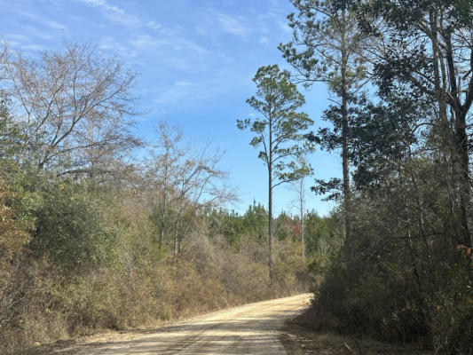 TRACT 6317 SW HARRIS STEVENSON ROAD, BONIFAY, FL 32425, photo 3 of 6