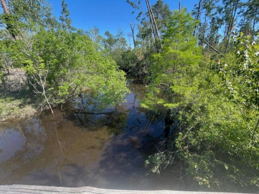 TBD CR 386 N, WEWAHITCHKA, FL 32465 - Image 1