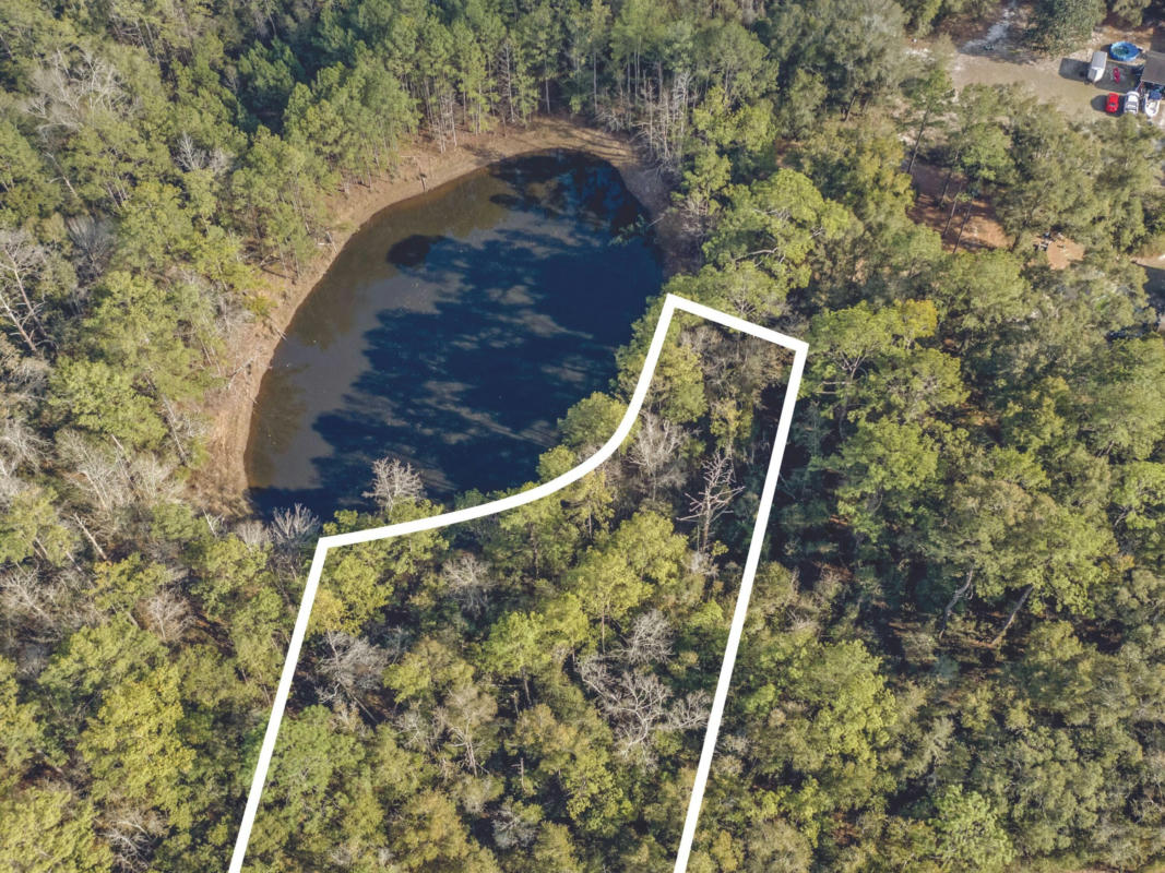 LOT 30 BLUE CREEK ROAD, PONCE DE LEON, FL 32455, photo 1 of 16