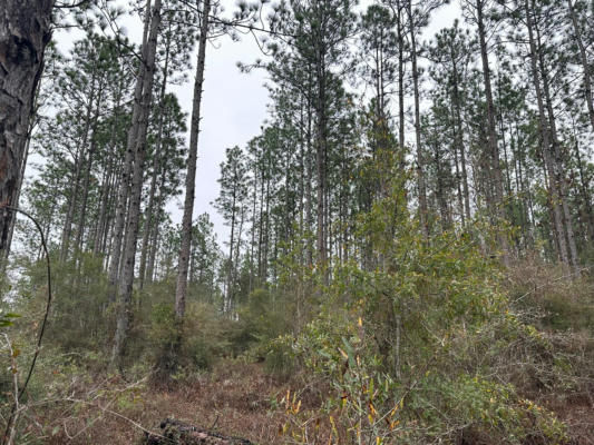 TRACT#6418 S MATTOX SPRINGS ROAD # S1, CARYVILLE, FL 32427, photo 4 of 6