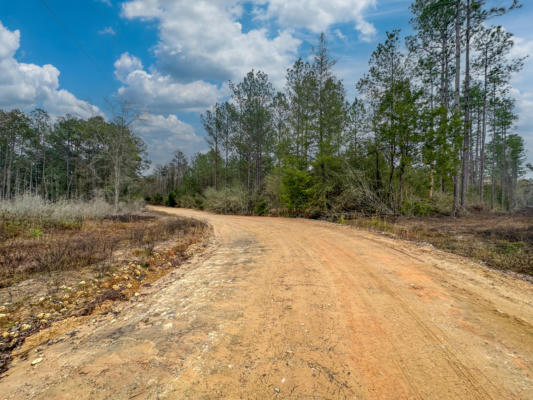 TRACT#6409 W DAVIS ROAD, CARYVILLE, FL 32427, photo 3 of 6