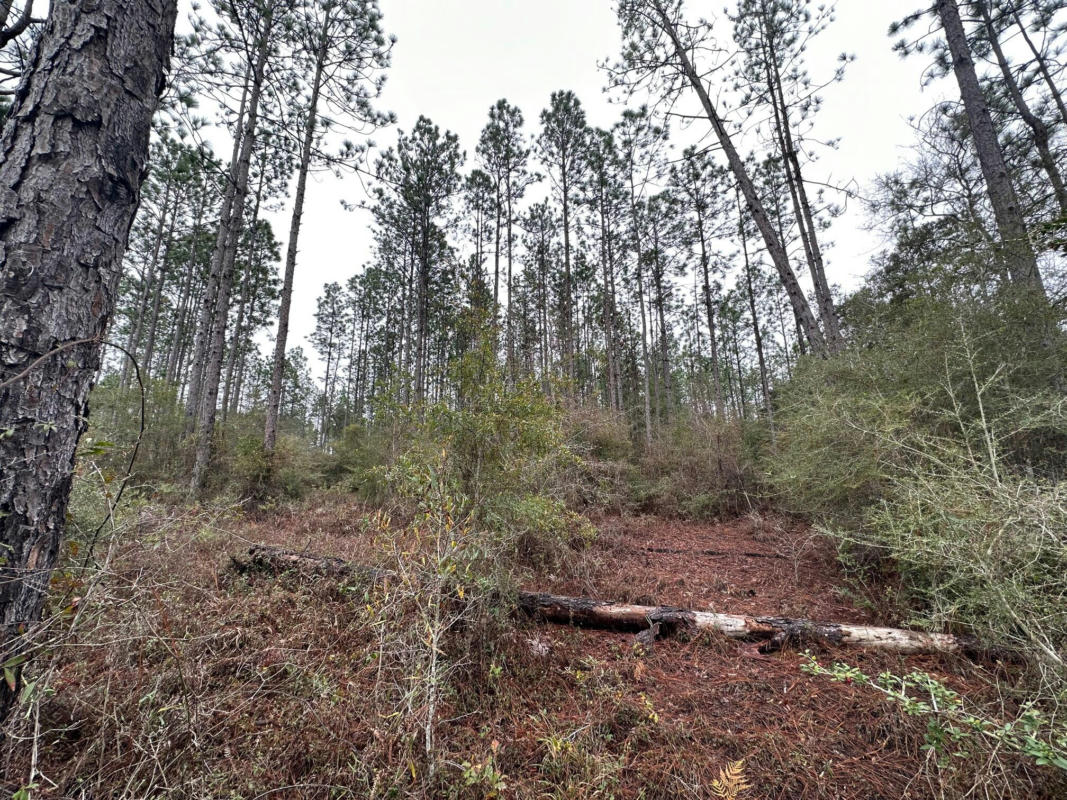 TRACT#6418 S MATTOX SPRINGS ROAD # S1, CARYVILLE, FL 32427, photo 1 of 6