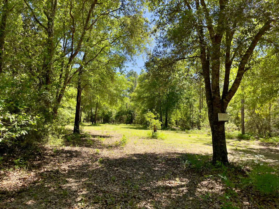 33 ACRES HUB PRESLEY ROAD, LAUREL HILL, FL 32567, photo 1 of 20