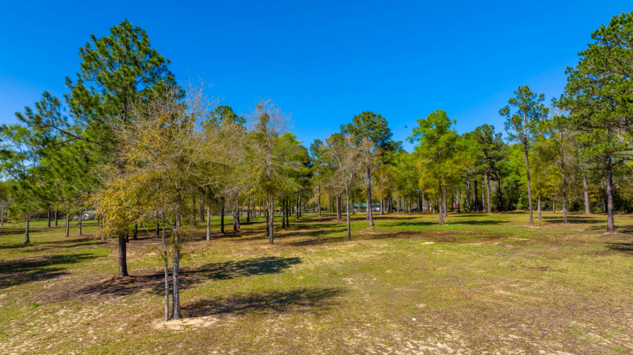 20 ACRES CANNON DRIVE, PAXTON, FL 32538, photo 1 of 11