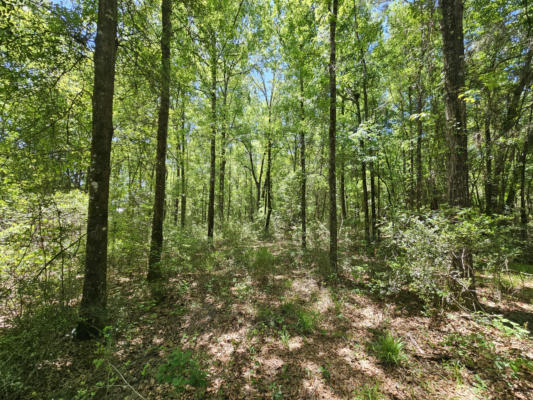 9 +/- ACRE US HWY 29, OTHER, AL   N/A, photo 5 of 9