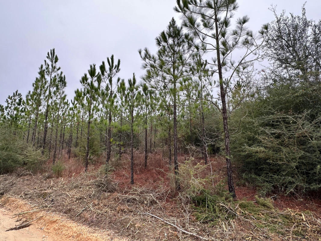 TRACT#6418 S MATTOX SPRINGS ROAD # S4, CARYVILLE, FL 32427, photo 1 of 5