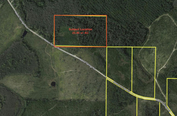 TRACT#6418 N MATTOX SPRINGS ROAD # N1, CARYVILLE, FL 32427, photo 3 of 6