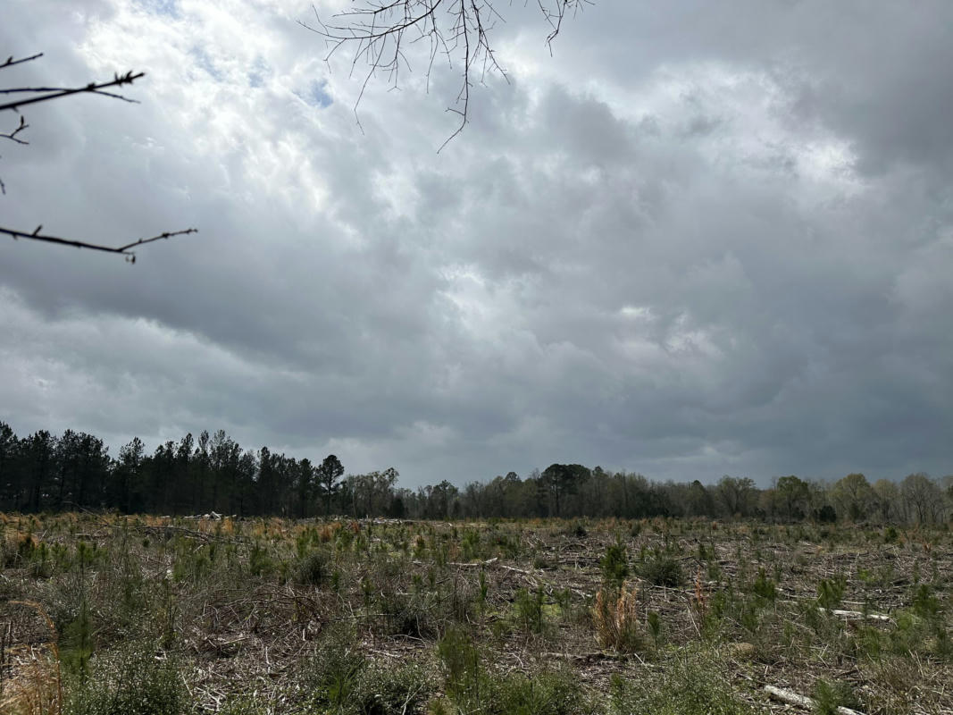 TRACT#6201 S COUNTY HWY 181 # 6&5, DEFUNIAK SPRINGS, FL 32433, photo 1 of 9