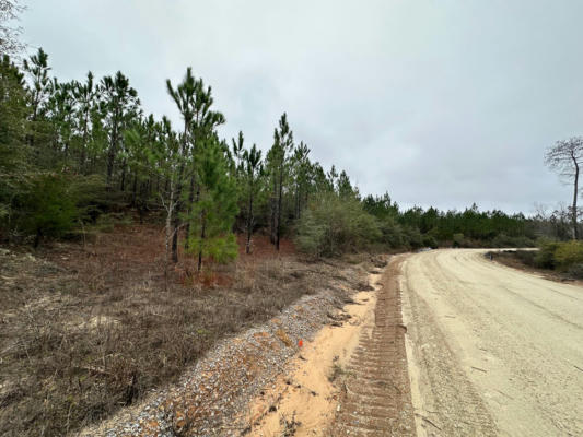 TRACT#6418 MATTOX SPRINGS ROAD # SOUTHERN WINDS LN, CARYVILLE, FL 32427, photo 2 of 3
