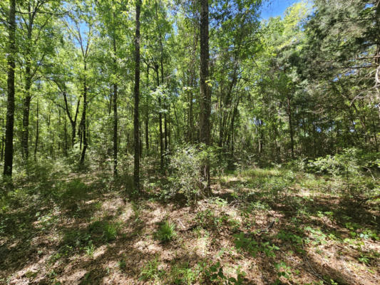 9 +/- ACRE US HWY 29, OTHER, AL   N/A, photo 4 of 9
