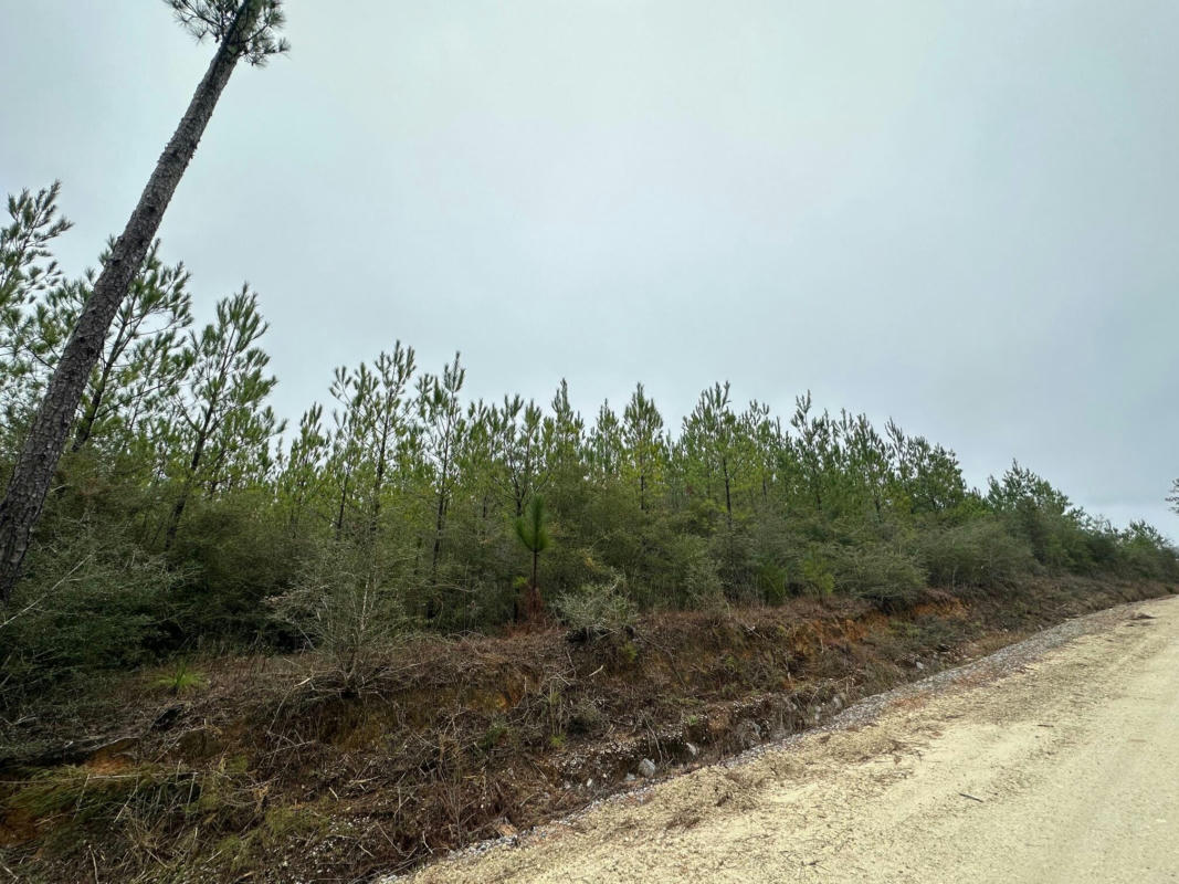 TRACT#6418 N MATTOX SPRINGS ROAD # N1, CARYVILLE, FL 32427, photo 1 of 6