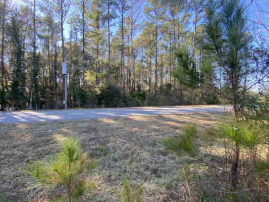 PARCEL C OLD EBENEZER ROAD, LAUREL HILL, FL 32567 - Image 1