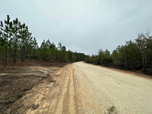 TRACT#6418 S MATTOX SPRINGS ROAD # S1, CARYVILLE, FL 32427, photo 3 of 6