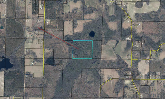 80 ACRES WES NELSON ROAD, CHIPLEY, FL 32428, photo 2 of 2