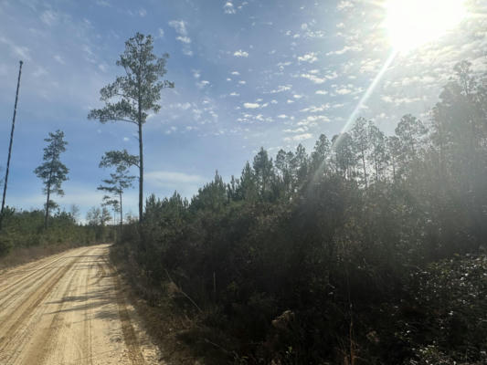 TRACT 6317 SW HARRIS STEVENSON ROAD, BONIFAY, FL 32425, photo 4 of 6