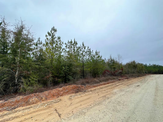 TRACT#6418 S MATTOX SPRINGS ROAD # S4, CARYVILLE, FL 32427, photo 5 of 5