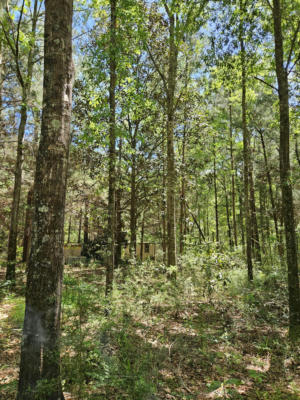 9 +/- ACRE US HWY 29, OTHER, AL   N/A, photo 2 of 9