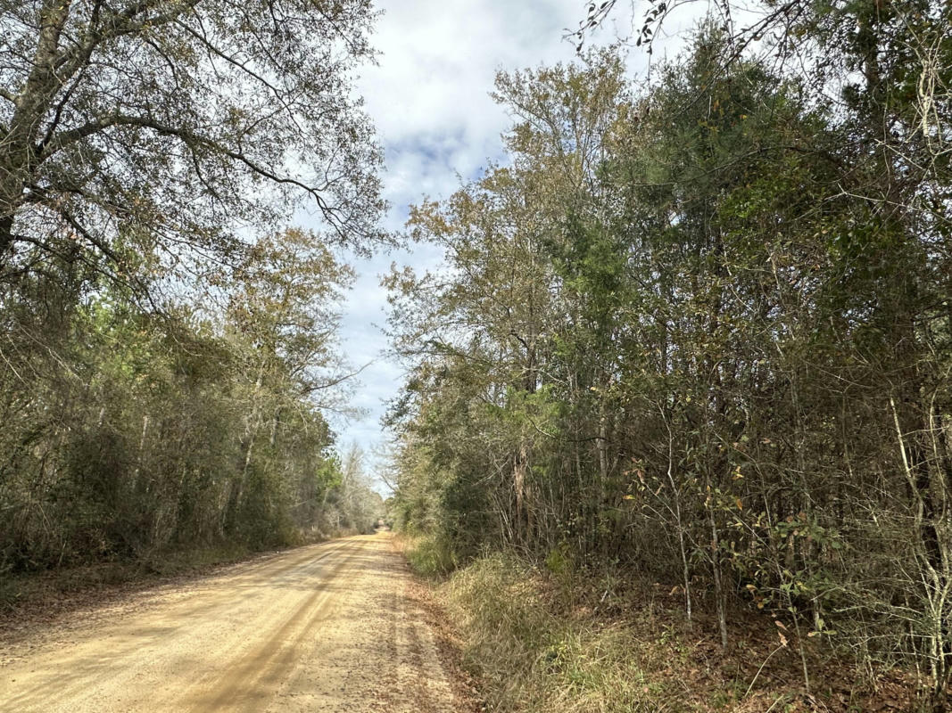 TRACT#6301 SW LOVE ROAD, BONIFAY, FL 32425, photo 1 of 7