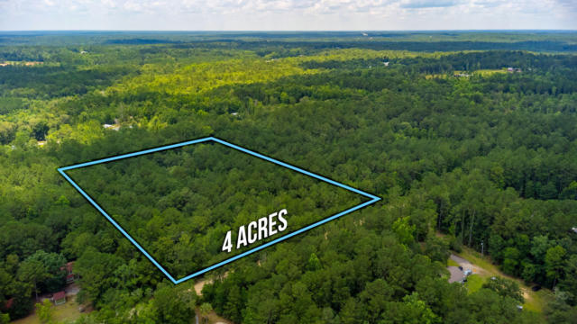 TBD AGNES TRAIL, DEFUNIAK SPRINGS, FL 32435 - Image 1